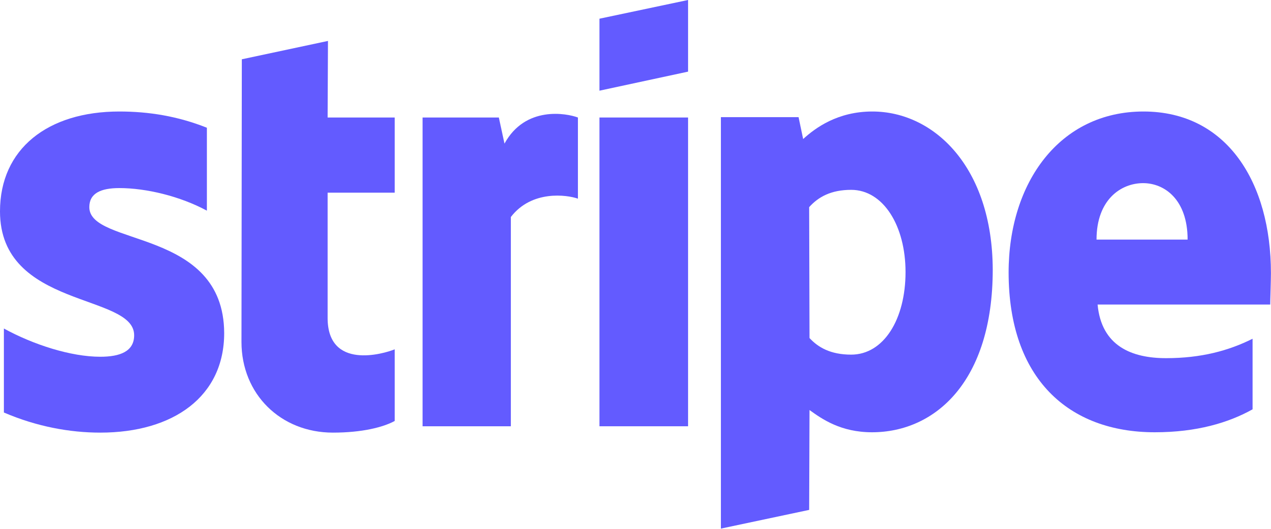 Stripe Payment Gateway Logo